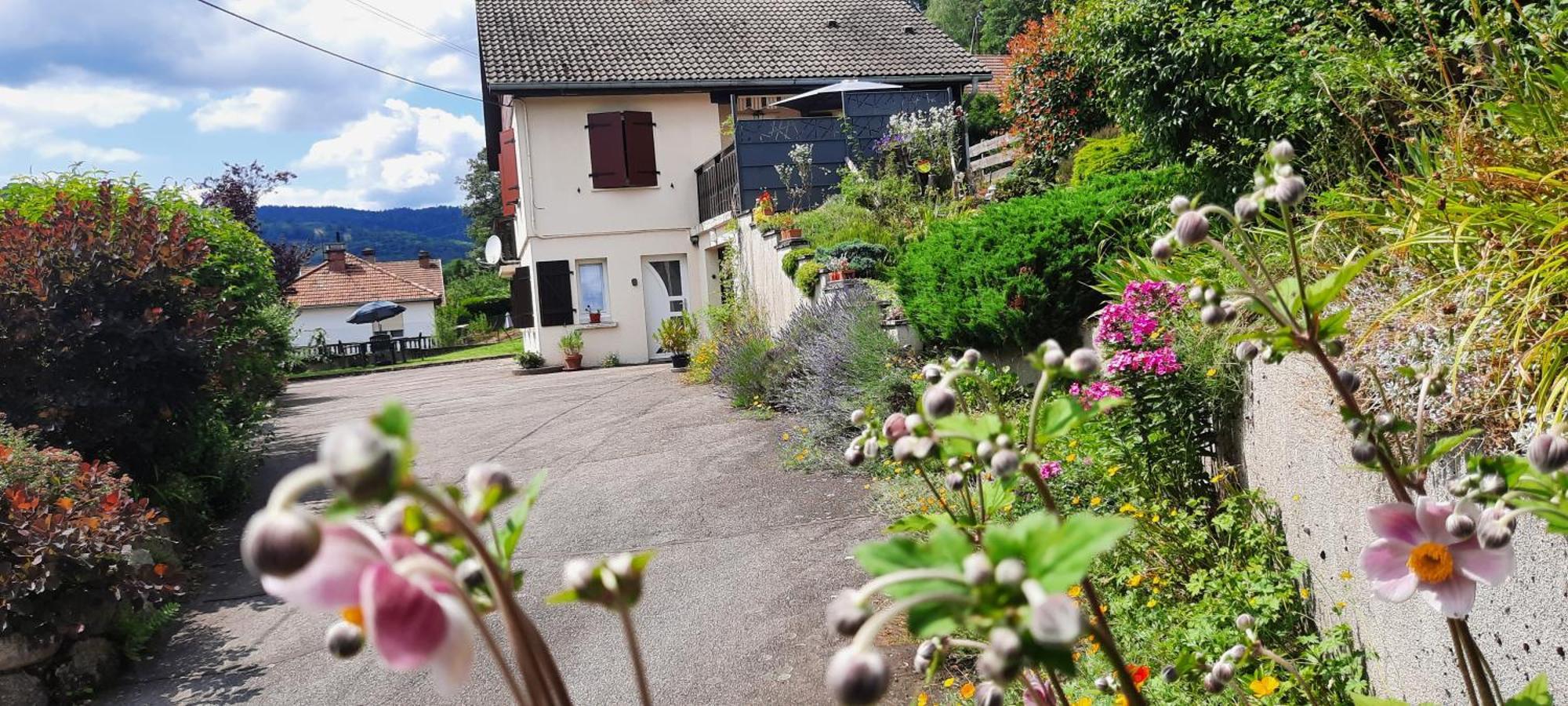 Plain-Pied Proche Base De Loisirs Et Voie Verte Saulxures-sur-Moselotte Eksteriør billede