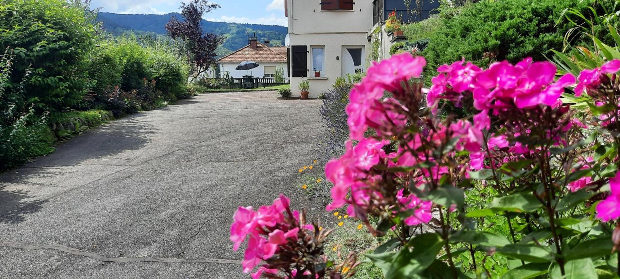 Plain-Pied Proche Base De Loisirs Et Voie Verte Saulxures-sur-Moselotte Eksteriør billede